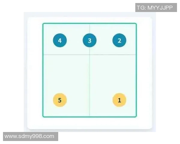 深入分析上海排球队的节奏打法与战术特点 深入分析上海排球队的节奏打法与战术特点