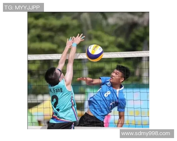 深圳排球队逆袭之路的真实记录与奋斗精神展现