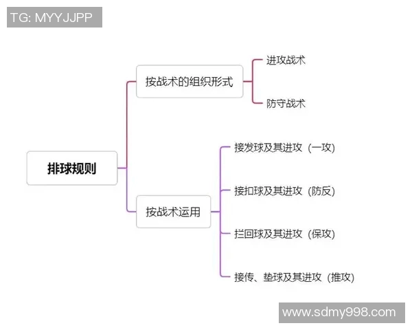 科学排球战术训练方法探索与实践提升竞技水平的有效策略