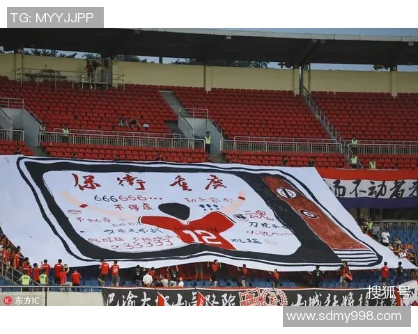 重庆乒乓球队逆袭之路：从挑战到辉煌的全面解读与展望